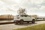 Skoda Karoq 2017 года (WW)